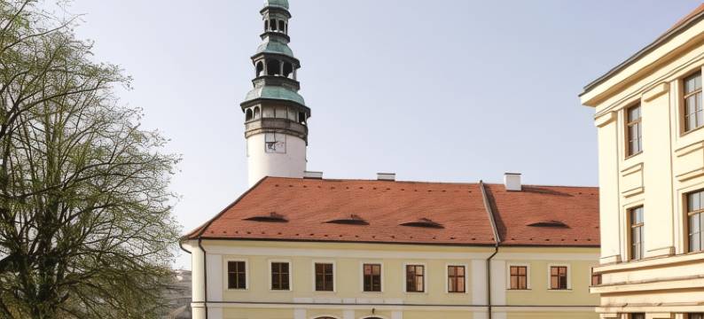 乔德斯凯霍赫拉杜膳食公寓酒店(Penzion U Chodskeho Hradu)图片