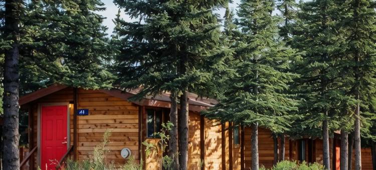 迪纳利小屋旅馆(Denali Cabins)图片