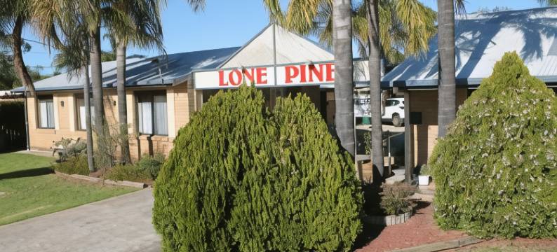 龙柏汽车旅馆(Lone Pine Motel)图片
