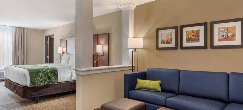 斯克内克塔迪-斯科迪亚舒适套房酒店(Comfort Inn & Suites Schenectady - Scotia)图片