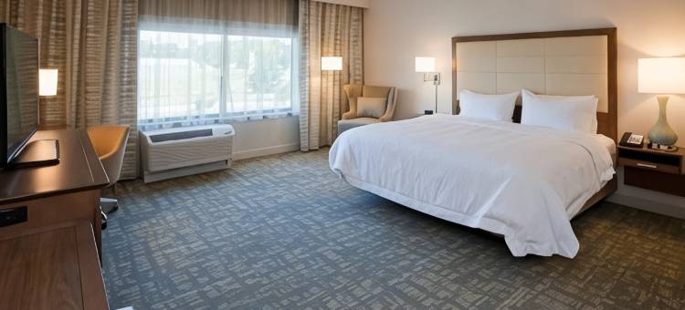 斯派塞绿湖希尔顿欢朋酒店(Hampton Inn Spicer Green Lake)图片