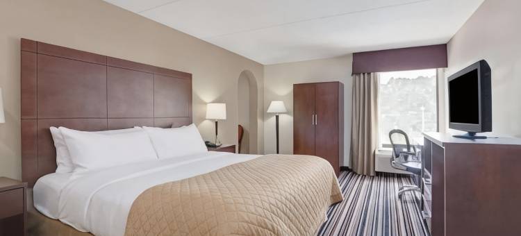 夏洛特机场东南温德姆花园酒店(Wyndham Garden Charlotte Airport Southeast)图片