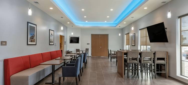 舒适套房酒店(Comfort Suites)图片