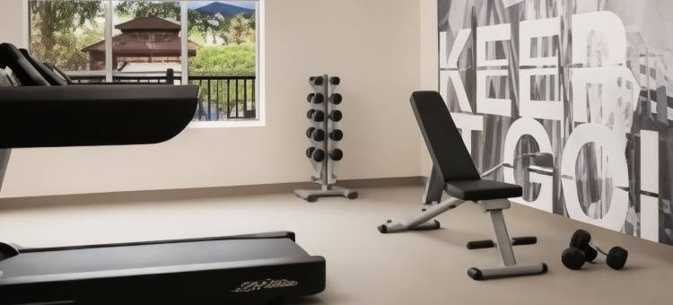 达拉斯北阿林顿万豪SpringHill酒店(SpringHill Suites Dallas Arlington North)图片