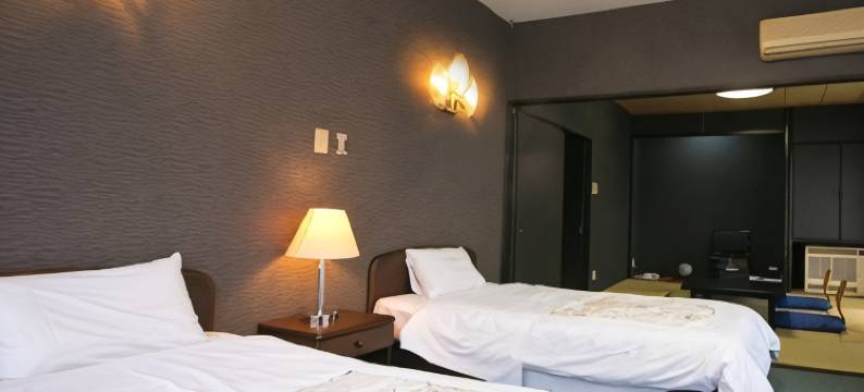 宝泉寺温泉 龙泉阁(Hotel Ryusenkaku)图片