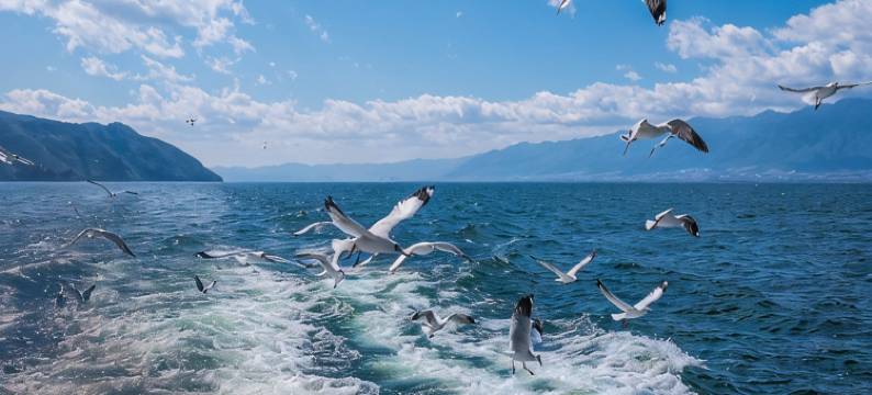 紫恩公寓(红山路分店)图片