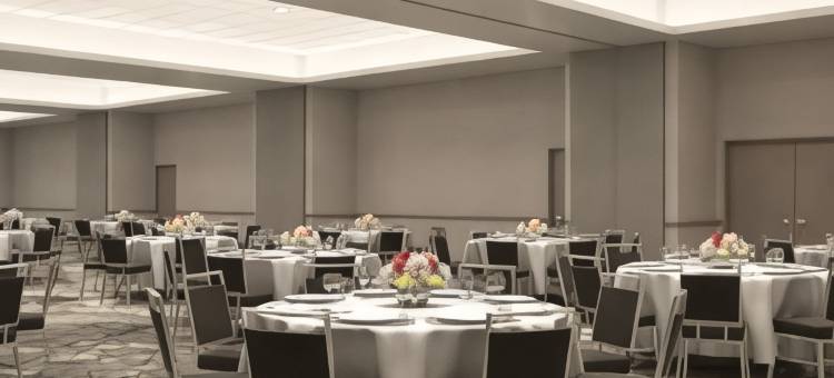 IMG学院传统酒店(Legacy Hotel at Img Academy)图片