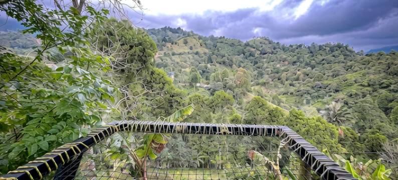 魔愛露营地(Glamping Magic Love)图片