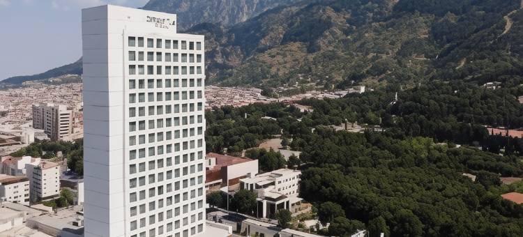 马尼萨希尔顿逸林酒店(DoubleTree by Hilton Manisa)图片