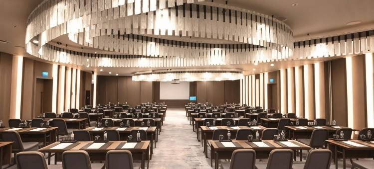 布尔萨乌鲁达瑞士酒店(Swissotel Uludag Bursa)图片