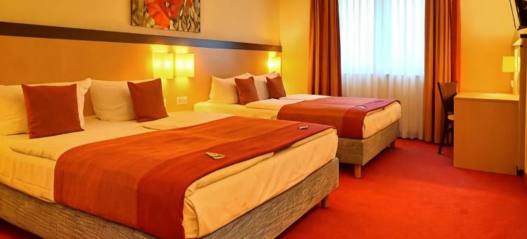 蒙塔纳埃尔克顿酒店(Montana-Hotel Ellwangen)图片