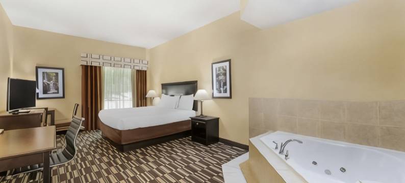 维克特贝斯特韦斯特优质套房酒店(Best Western Plus Victor Inn  Suites)图片