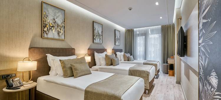 老城瑞林酒店(Rayelin Hotel Istanbul Old City)图片