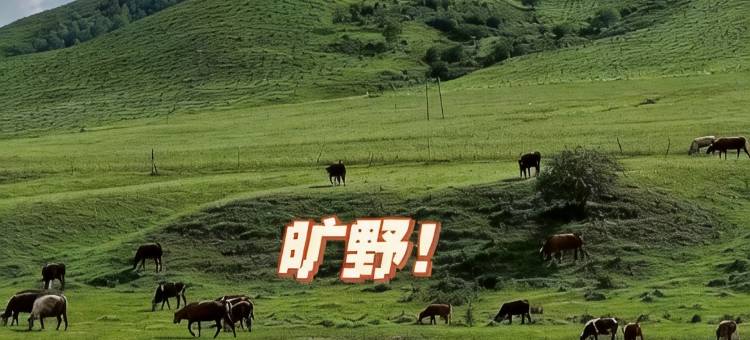 张北驿旅阳光庄园图片