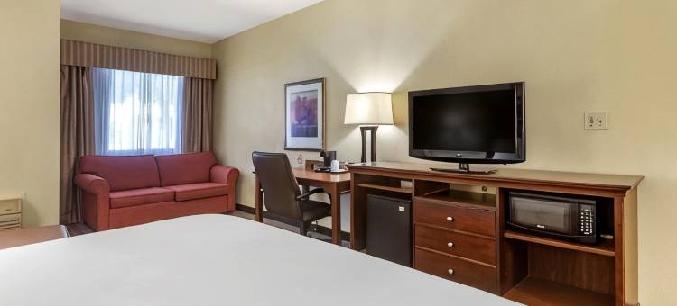 亚特兰大市中心丽怡酒店(Country Inn & Suites by Radisson, Atlanta Downtown)图片