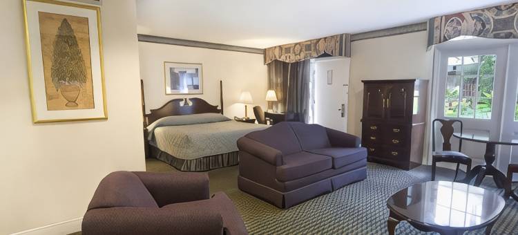 法国区地标贝斯特韦斯特优质酒店(Best Western Plus French Quarter Courtyard Hotel)图片