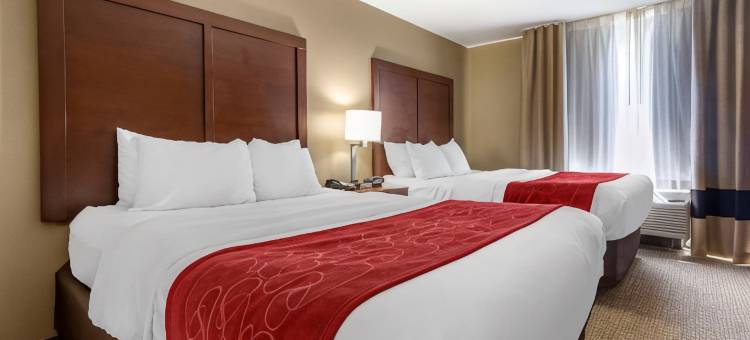 舒适套房酒店-桥港市克拉克斯堡(Comfort Suites Bridgeport - Clarksburg)图片