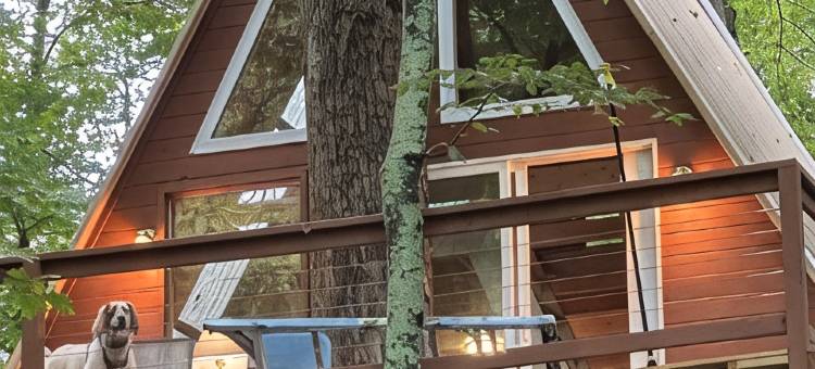 宾州贝德福德县河畔绝美树屋,(Spectacular Riverfront Treehouse in Beautiful Bedford County, PA,)图片