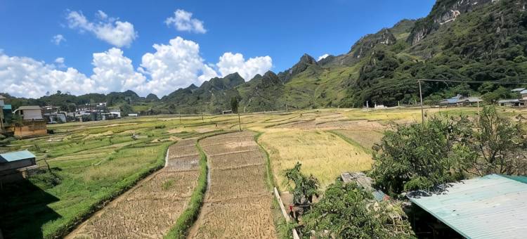 Thai Tam Motel图片