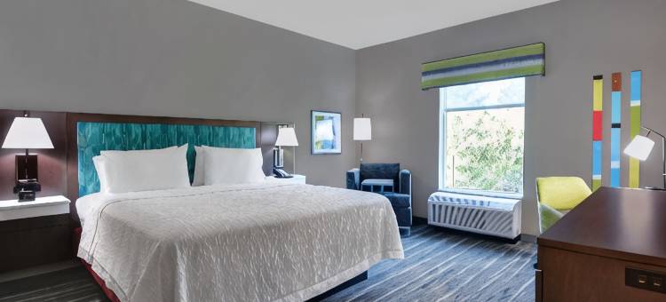 欢朋套房酒店和套房麦克伦尼I-10(Hampton Inn and Suites MacClenny I-10)图片