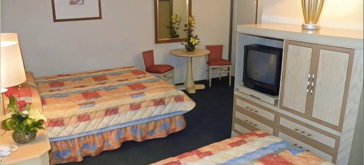 旧金山伊拉普阿托商务酒店(Hotel San Francisco Irapuato Business Class)图片