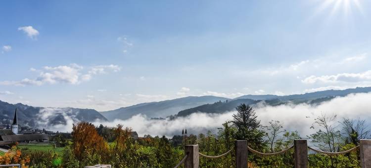 多瑙布里克兰德酒店(Landhotel Donaublick)图片