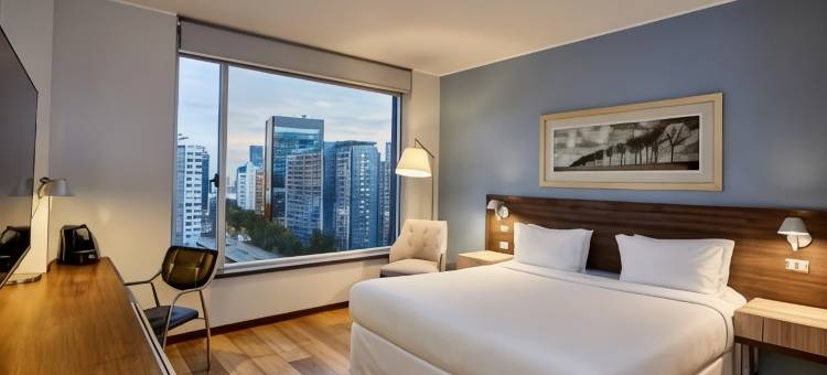 丽笙蓝标广场酒店-圣地亚哥(Radisson Blu Plaza El Bosque Santiago)图片