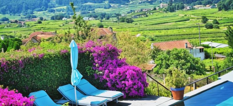 金塔德圣阿马罗乡村酒店(Quinta de San Amaro Rias Baixas)图片