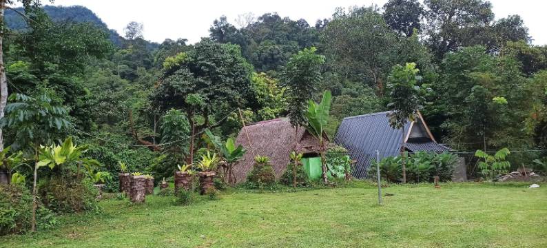 唐卡汉绿色森林酒店(Green Forest Tangkahan)图片