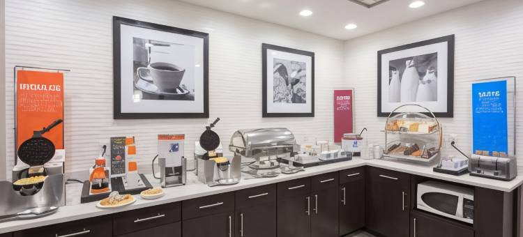 布法罗汉堡镇欢朋酒店(Hampton Inn Buffalo/Hamburg)图片
