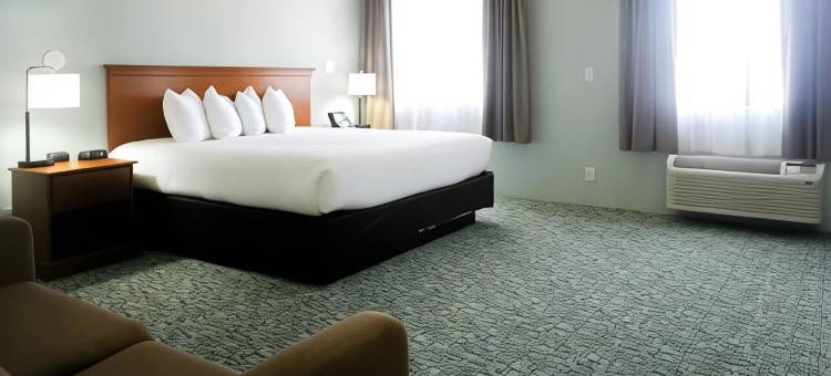 拉皮德城温德姆旅游旅馆(Travelodge by Wyndham Rapid City/Black Hills)图片