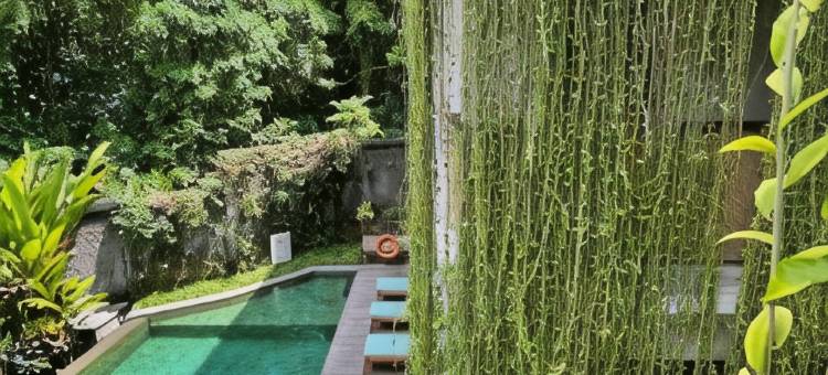 乌布阿托特尔汉尼曼酒店(ARTOTEL Haniman Ubud)图片