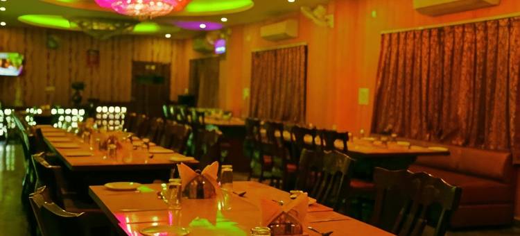 鲁比石头希夫维拉斯宫殿(Rubystone Shiv Vilas Palace)图片