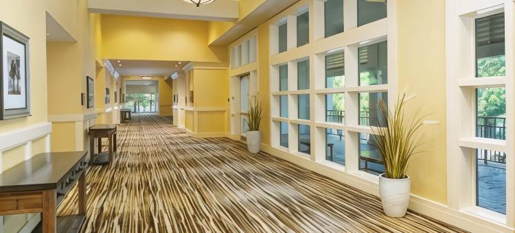 Wild Dunes Resort - Residences at Sweetgrass图片