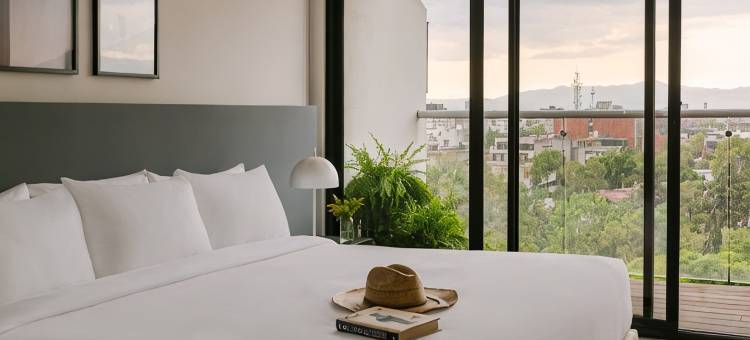 Sonder la Cima图片