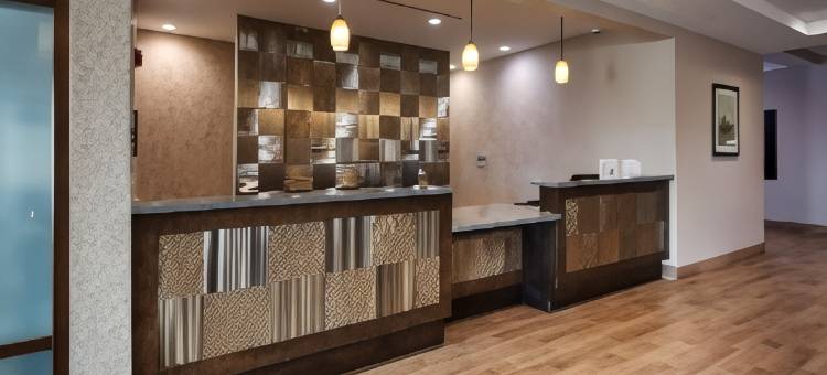 克利奇站贝斯特韦斯特优质套房酒店(Best Western Plus College Station Inn  Suites)图片