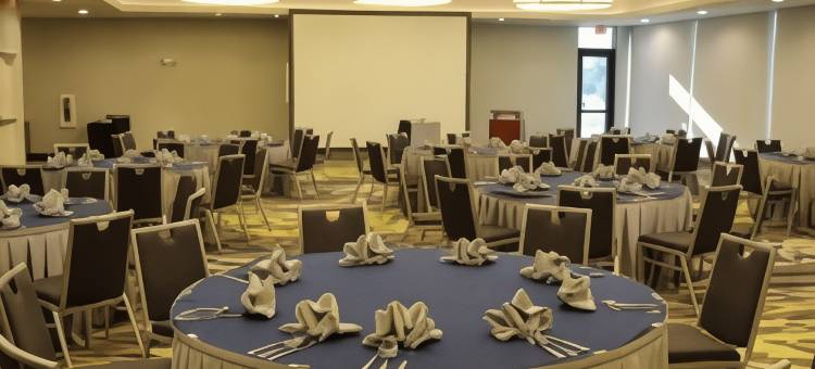 希尔顿花园酒店-奥斯汀机场(Hilton Garden Inn Austin Airport)图片