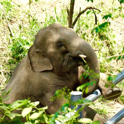 云南昆明+普洱+西双版纳6日5晚跟团游