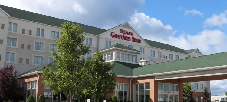 客栈水牛城机场希尔顿花园酒店(Hilton Garden Inn Buffalo Airport)图片