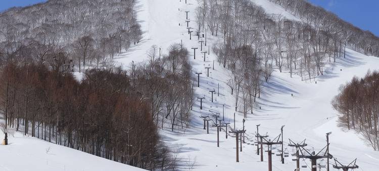 里盘梯湖畔度假村 五色之森(Urabandai Lake Resort Goshiki No Mori)图片
