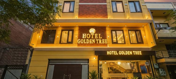 Fabhotel 金树酒店(FabHotel Golden Tree)图片