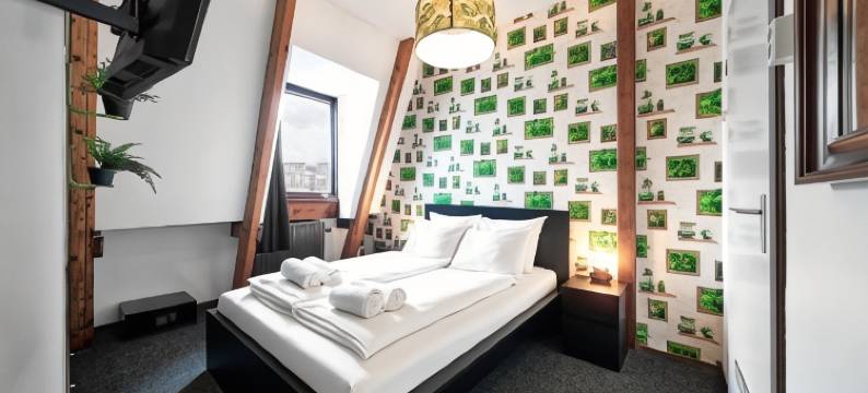 飞天猪市中心旅舍(The Flying Pig Downtown)图片