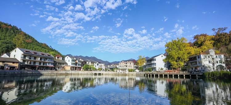 花筑·临安简宋山居(指南村店)图片