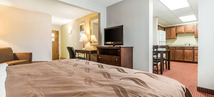 凯艺套房酒店(Quality Inn & Suites)图片