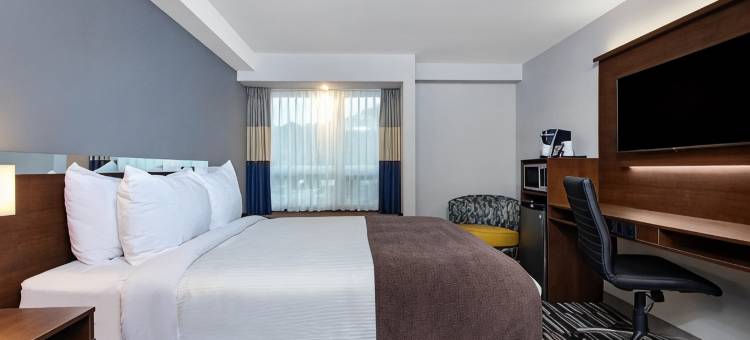 波蒂奇拉普雷里麦客达温德姆酒店(Microtel Inn & Suites by Wyndham Portage la Prairie)图片