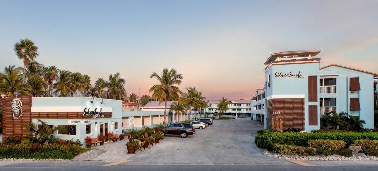 银浪湾海滩度假酒店(Silver Surf Gulf Beach Resort)图片