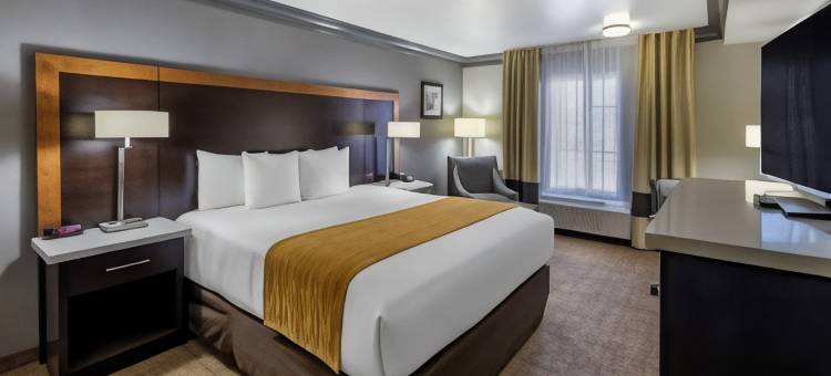 好莱坞伯班克近环球舒适套房酒店(Comfort Inn & Suites Near Universal - N Hollywood - Burbank)图片