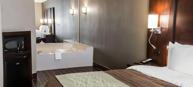舒适酒店及套房(Comfort Inn & Suites Pharr/McAllen)图片