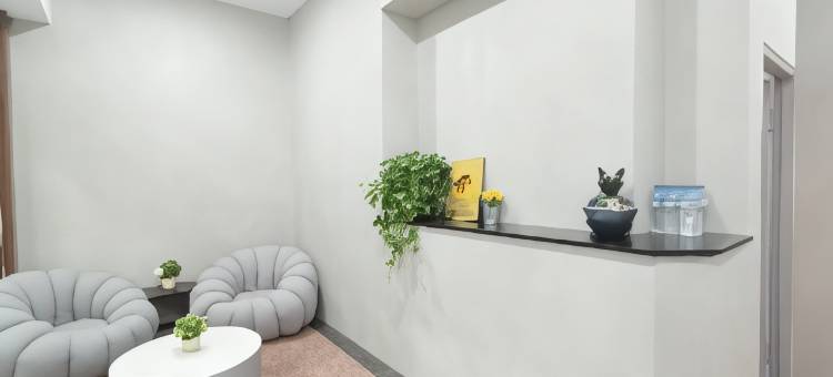 No 9 Hotel 九号文旅图片