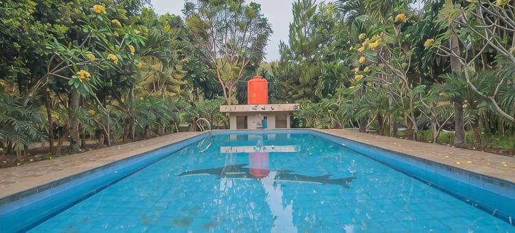 红多兹Plus酒店-Negeri Baru Lodaya Puncak(RedDoorz Plus @ Hotel Negeri Baru Lodaya Puncak)图片